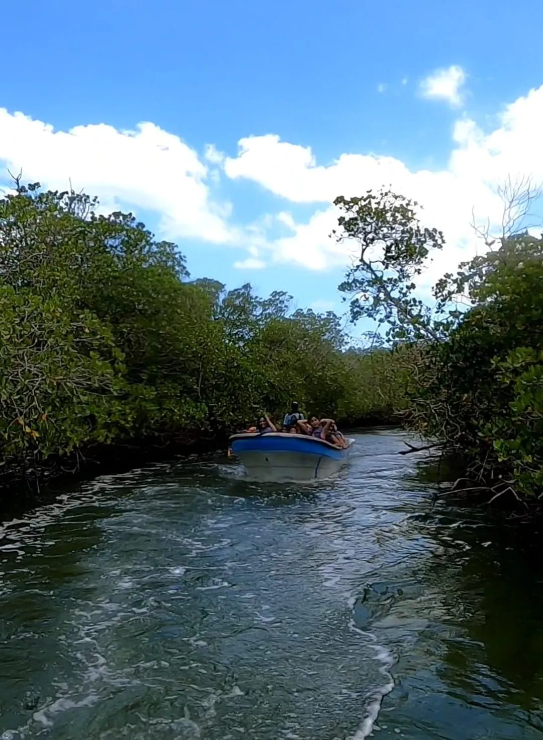 Cayo Arena — foto 4