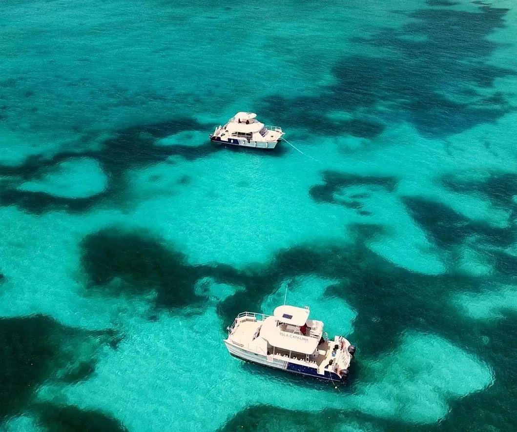 Isla Catalina — foto 3
