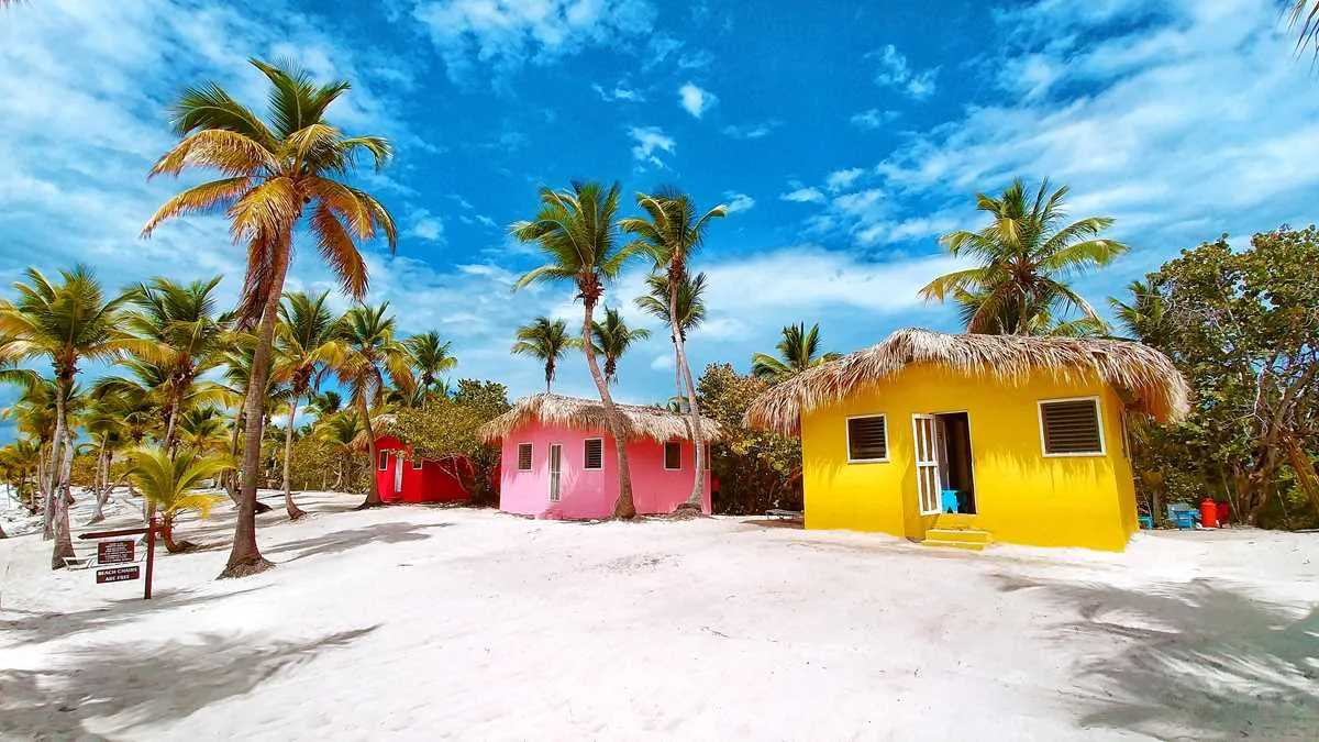 Isla Catalina — foto 4