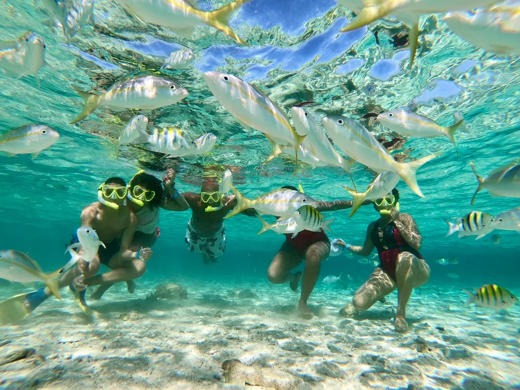 Cayo Arena — foto 2