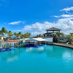 Ocean World